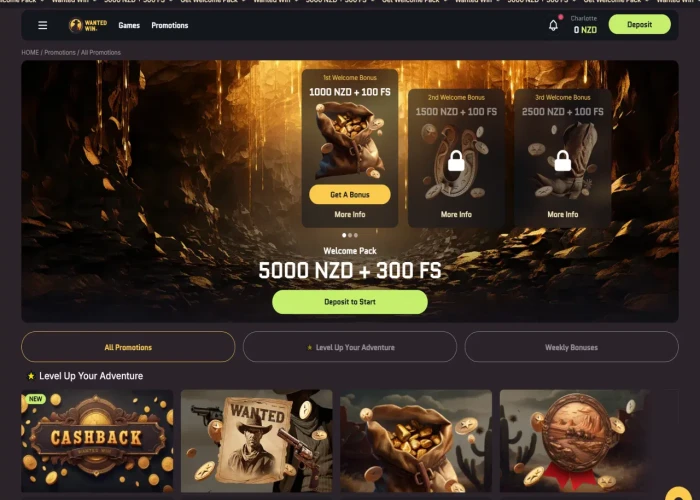 Promotions and Bonuses