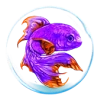 Purple Fish