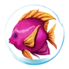 Pink Fish