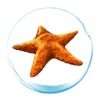 Starfish