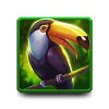 Toucan