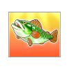 Money Fish