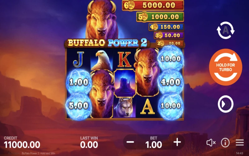 Buffalo Power 2: Hold and Win Game
