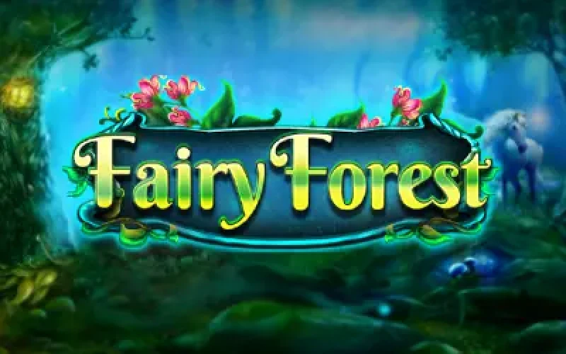 Fairy Forest