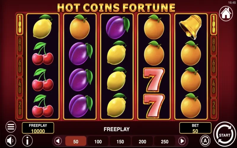 Hot Coins Fortune Game