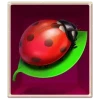 Bug