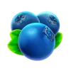Blueberry