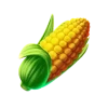 Corn