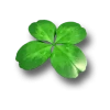 Four-Leaved Clover