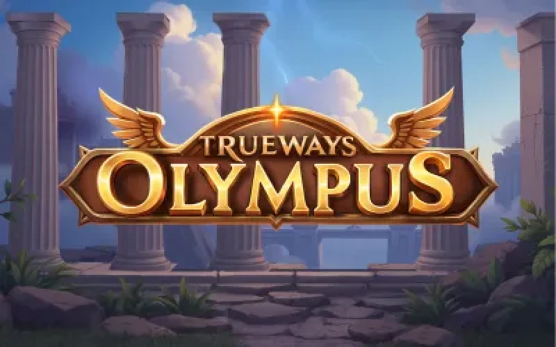 Olympus TRUEWAYS