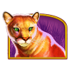Cougar