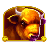 Buffalo