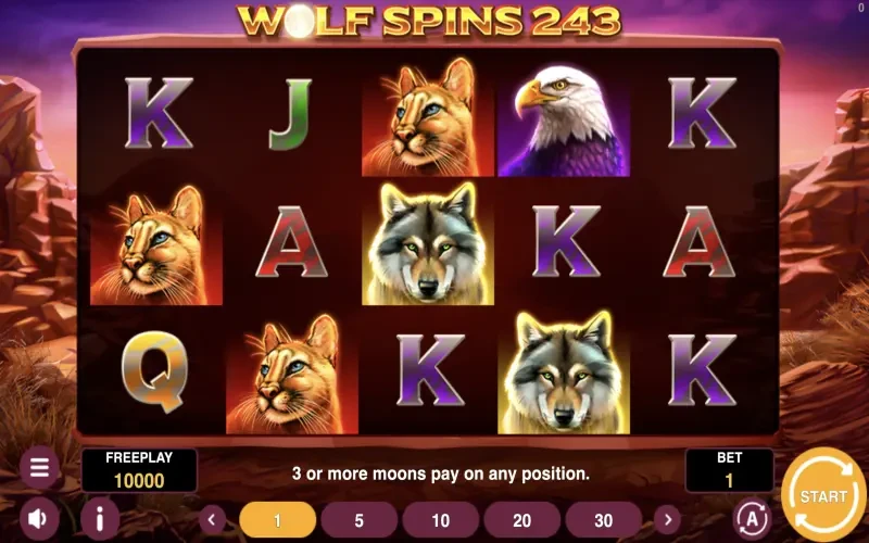 Wolf Spins 243 Game